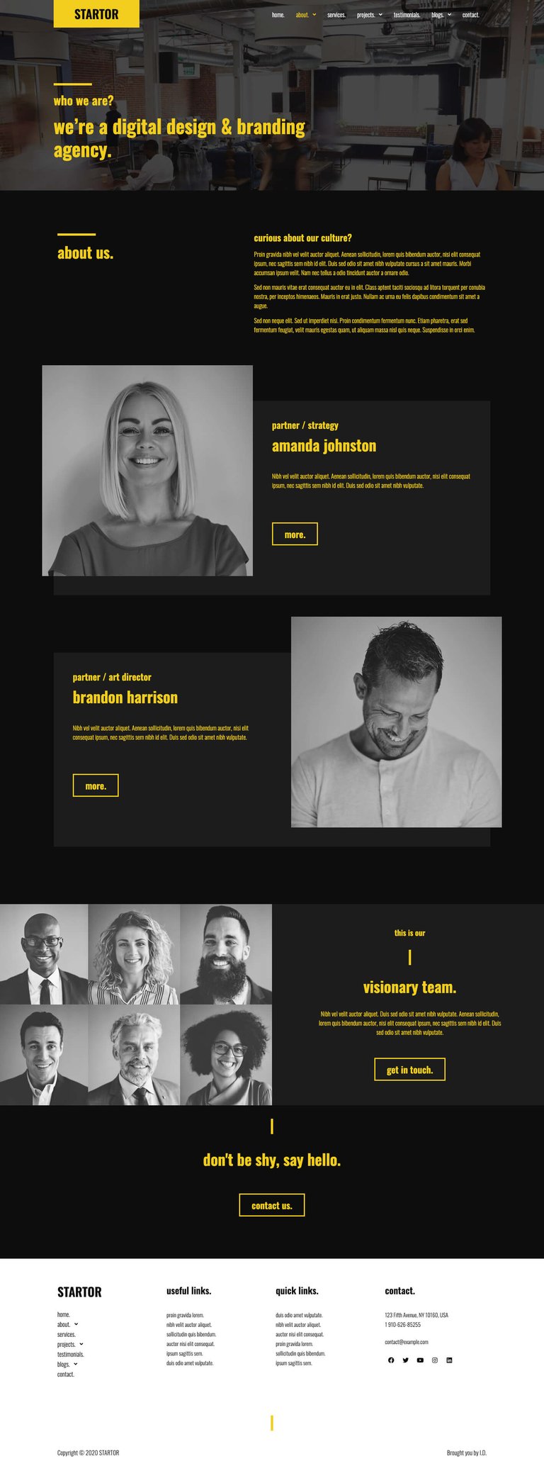 STARTOR - Agency & Company Elementor Template Kit