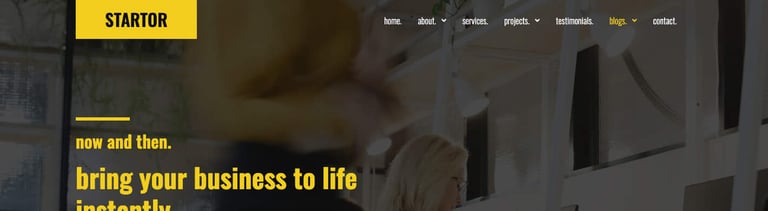 STARTOR - Agency & Company Elementor Template Kit