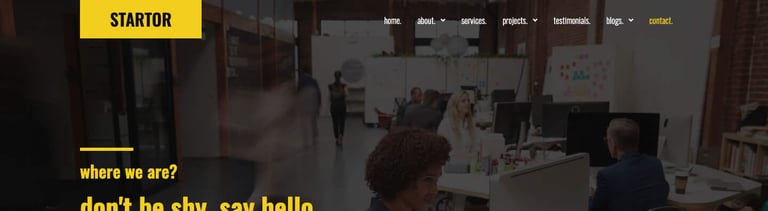 STARTOR - Agency & Company Elementor Template Kit