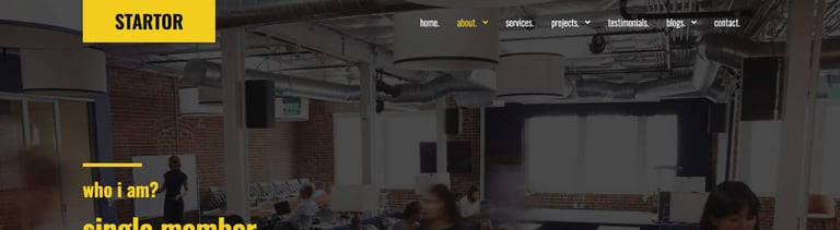 STARTOR - Agency & Company Elementor Template Kit