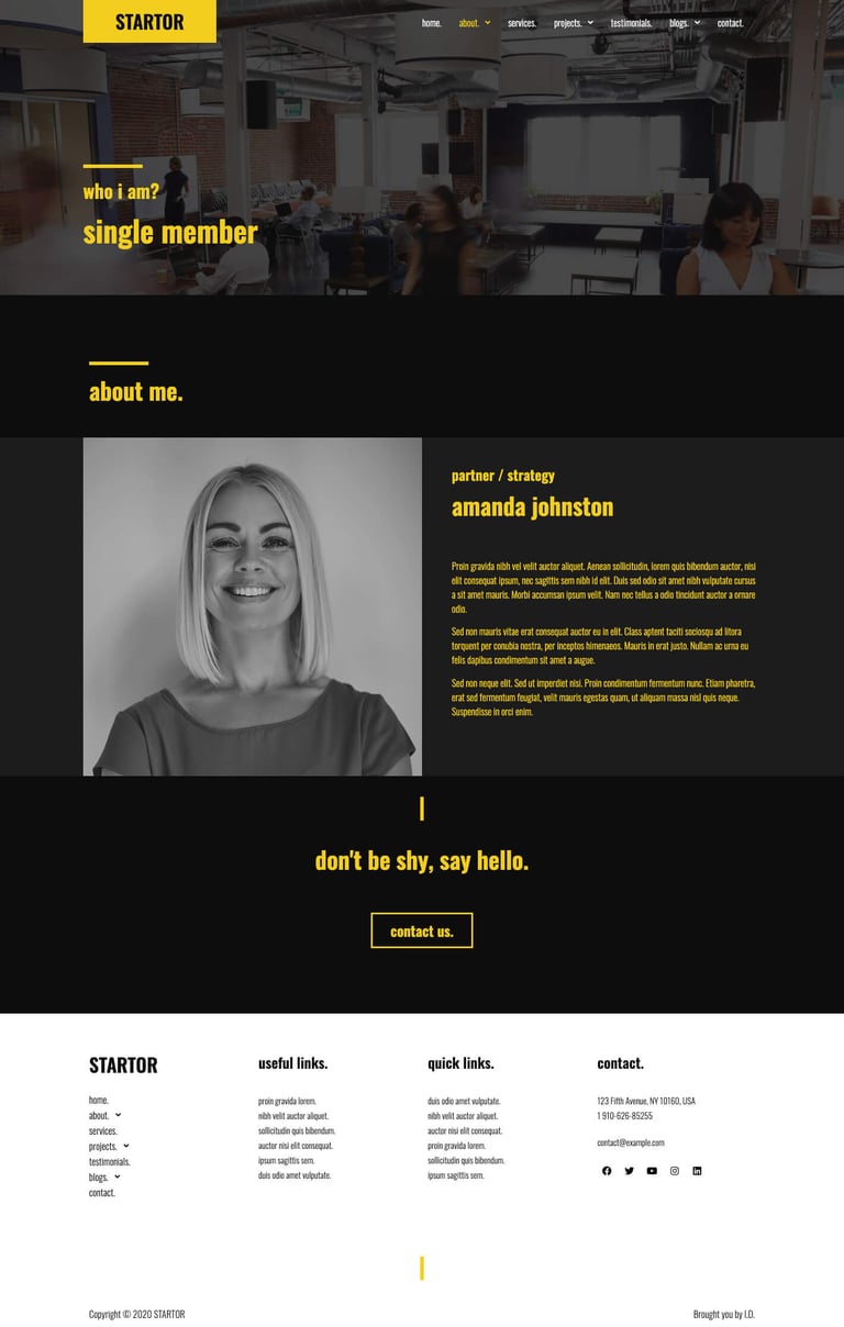 STARTOR - Agency & Company Elementor Template Kit