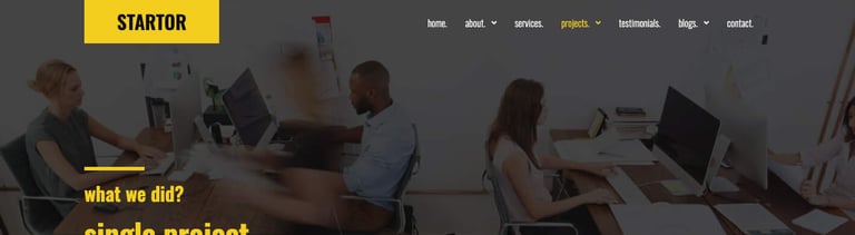 STARTOR - Agency & Company Elementor Template Kit