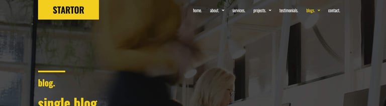 STARTOR - Agency & Company Elementor Template Kit